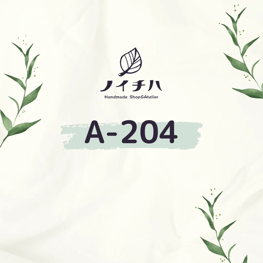 A-204 じゅえりーぼっくす