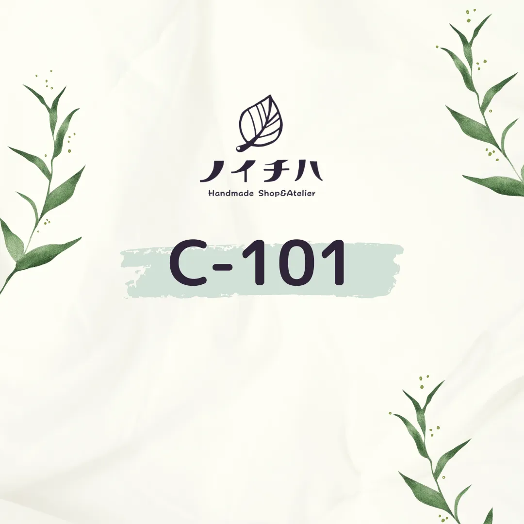 C-101
